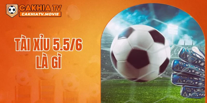 Tài Xỉu 5.5/6 Là Gì